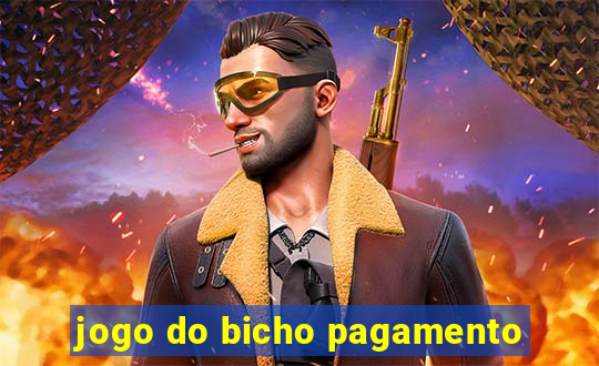 jogo do bicho pagamento