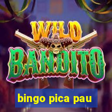 bingo pica pau