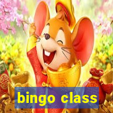 bingo class