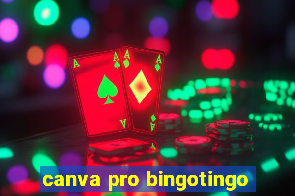 canva pro bingotingo