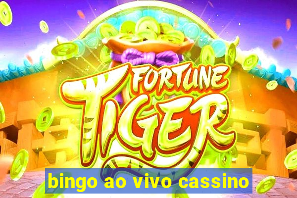 bingo ao vivo cassino