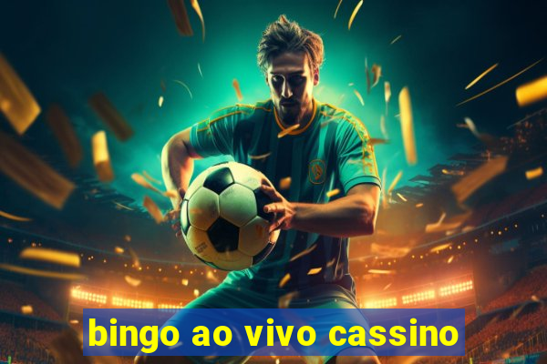 bingo ao vivo cassino