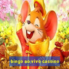 bingo ao vivo cassino