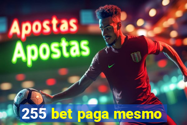 255 bet paga mesmo