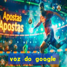 voz do google tradutor homem