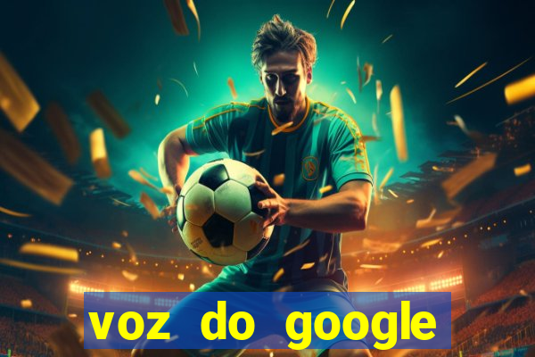 voz do google tradutor homem