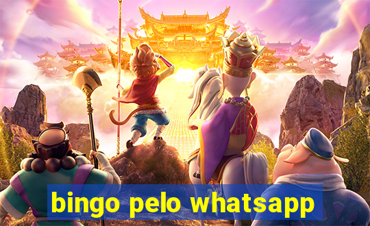 bingo pelo whatsapp