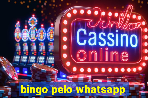 bingo pelo whatsapp