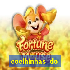 coelhinhas do brasil jp