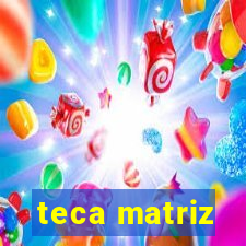 teca matriz