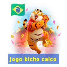 jogo bicho caico