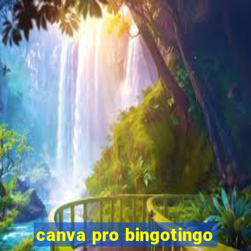 canva pro bingotingo