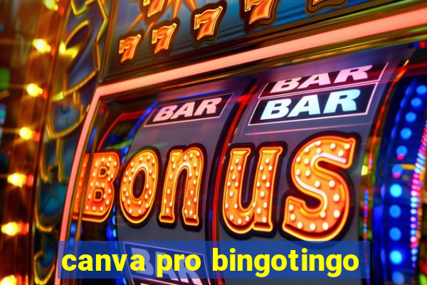 canva pro bingotingo