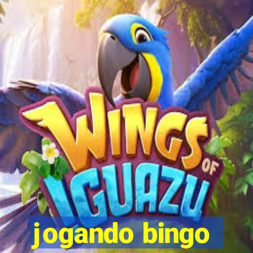 jogando bingo