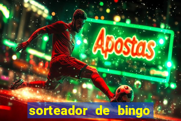 sorteador de bingo 90 bolas online