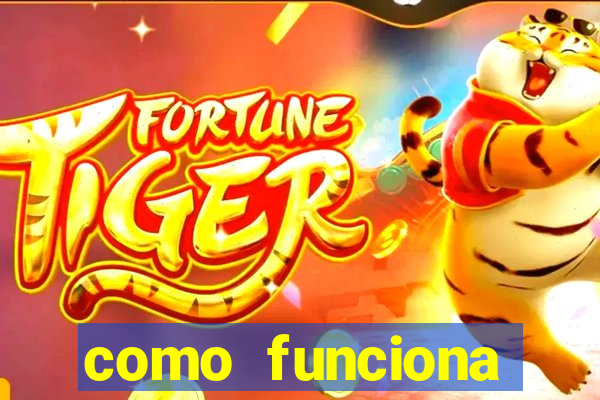 como funciona tarifa super bingo msc