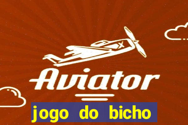 jogo do bicho crash bingo