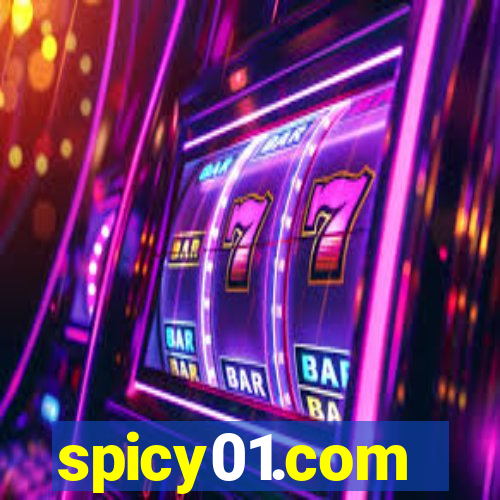 spicy01.com