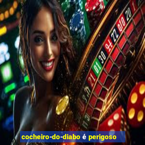cocheiro-do-diabo é perigoso